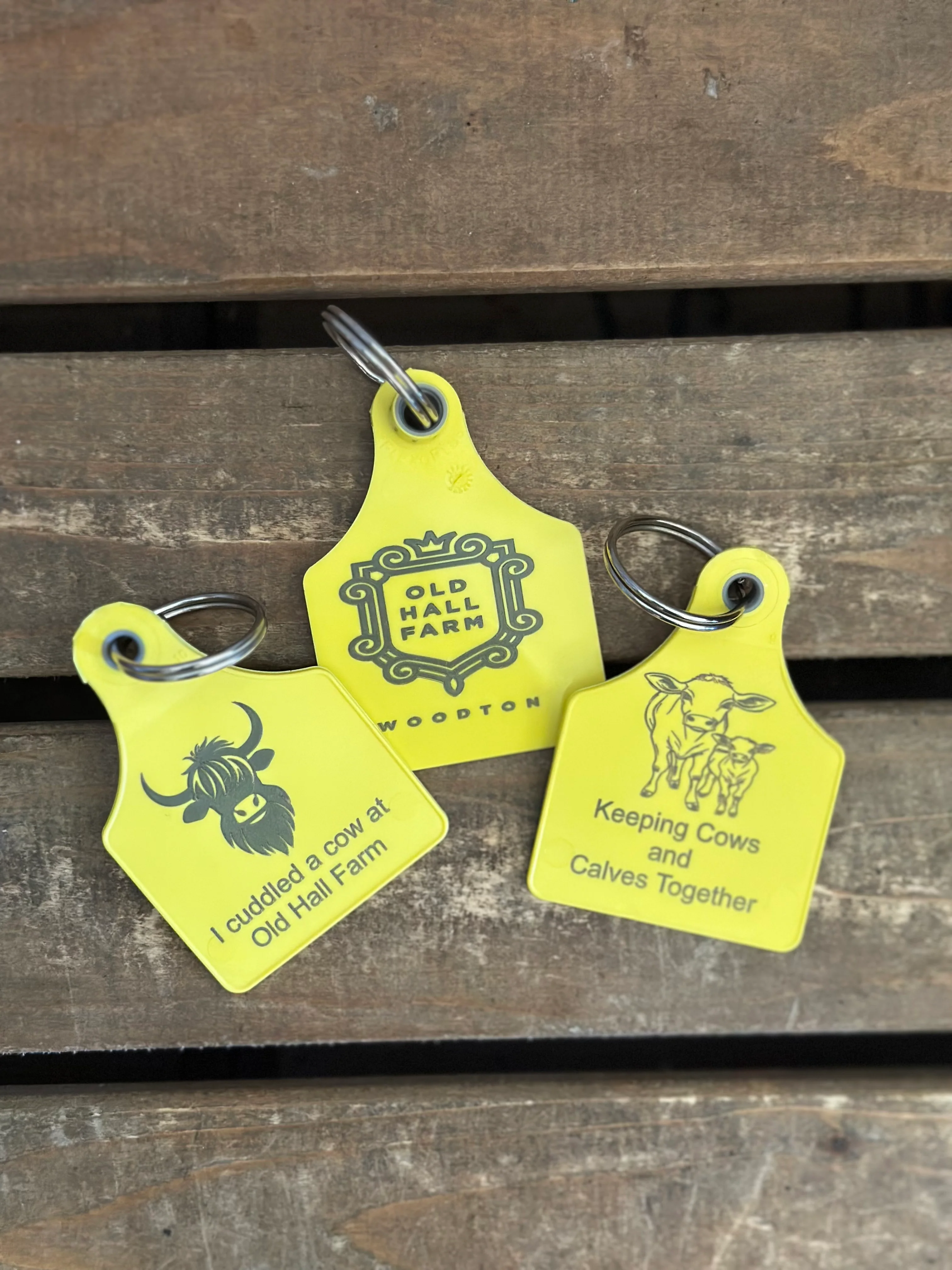 Cow Ear Tag Keyring