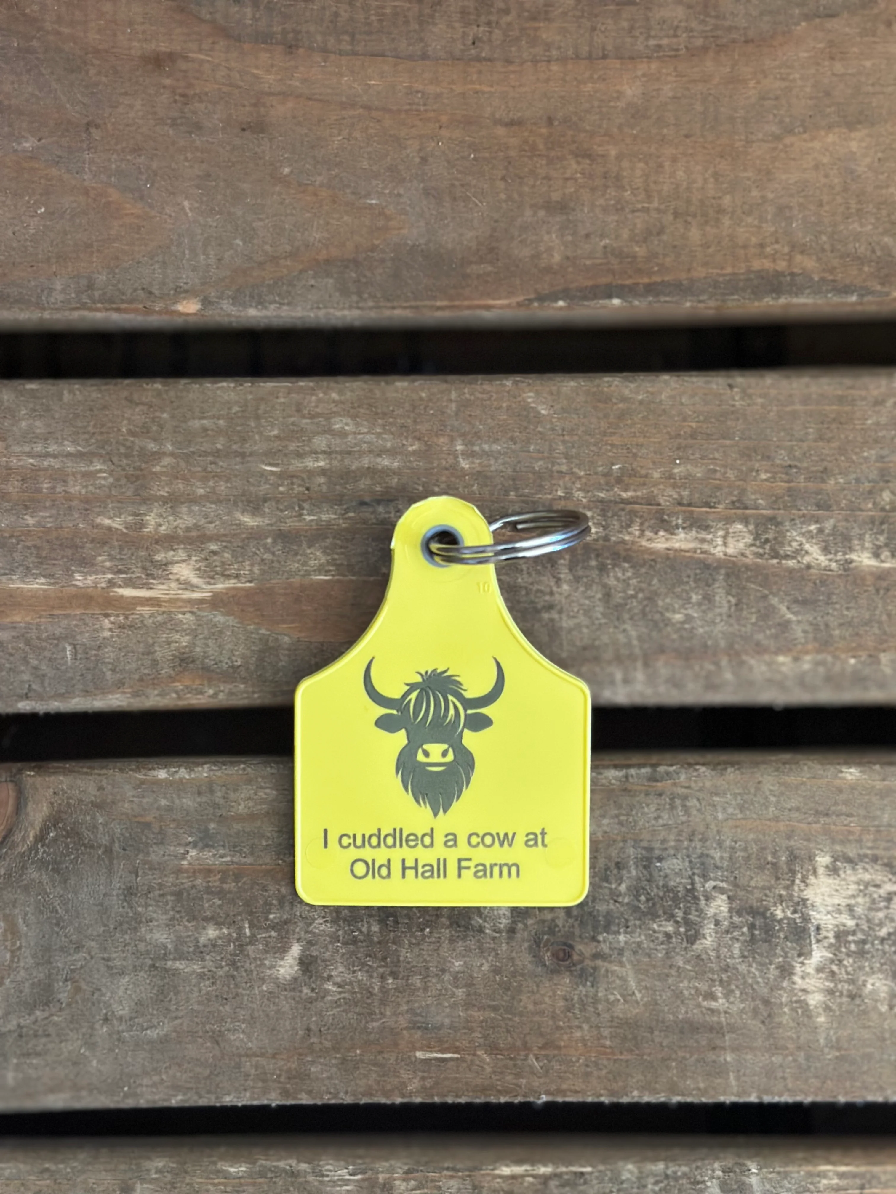 Cow Ear Tag Keyring - Image 3