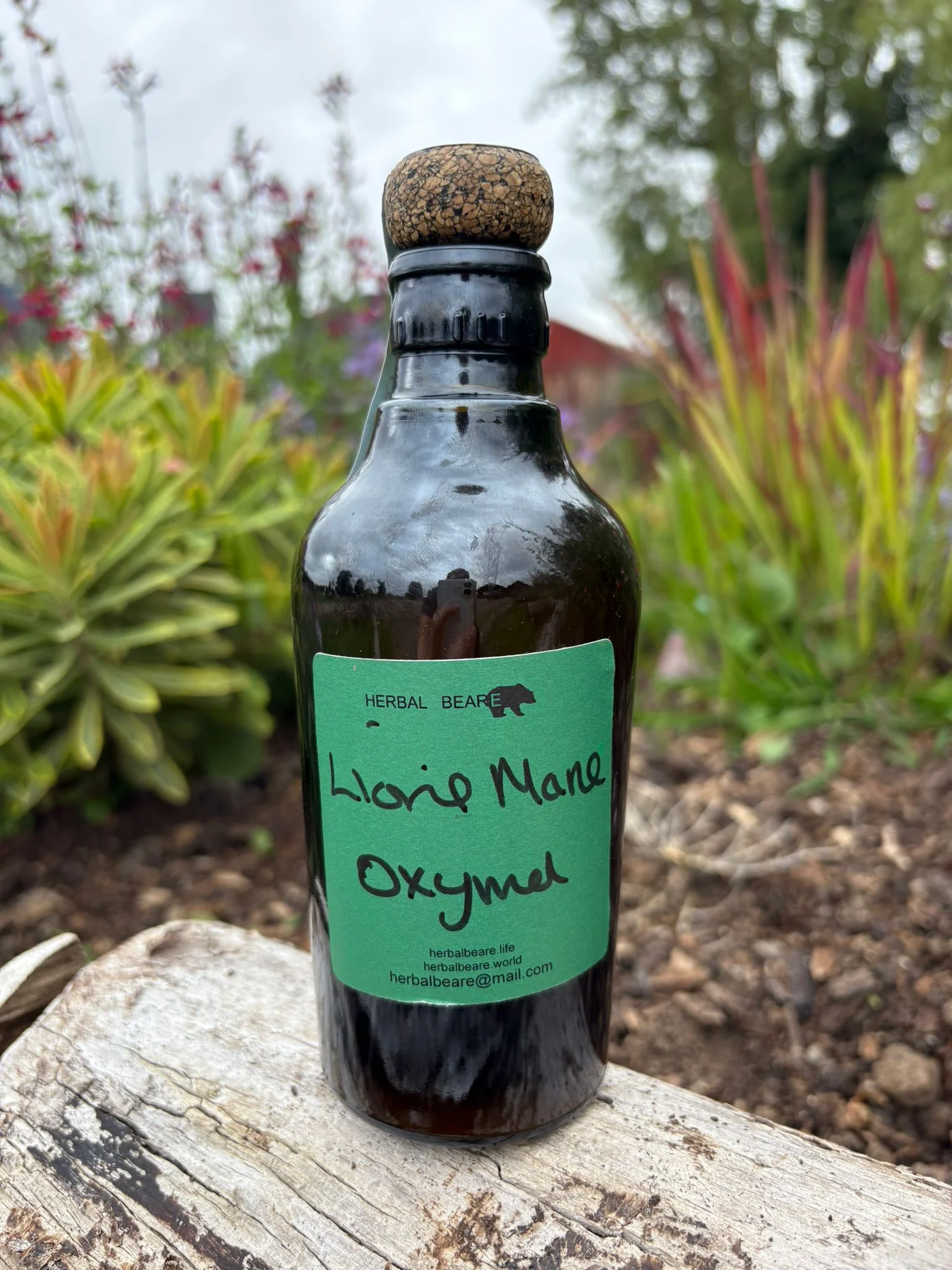 Lions Mane Oxymel 250ml