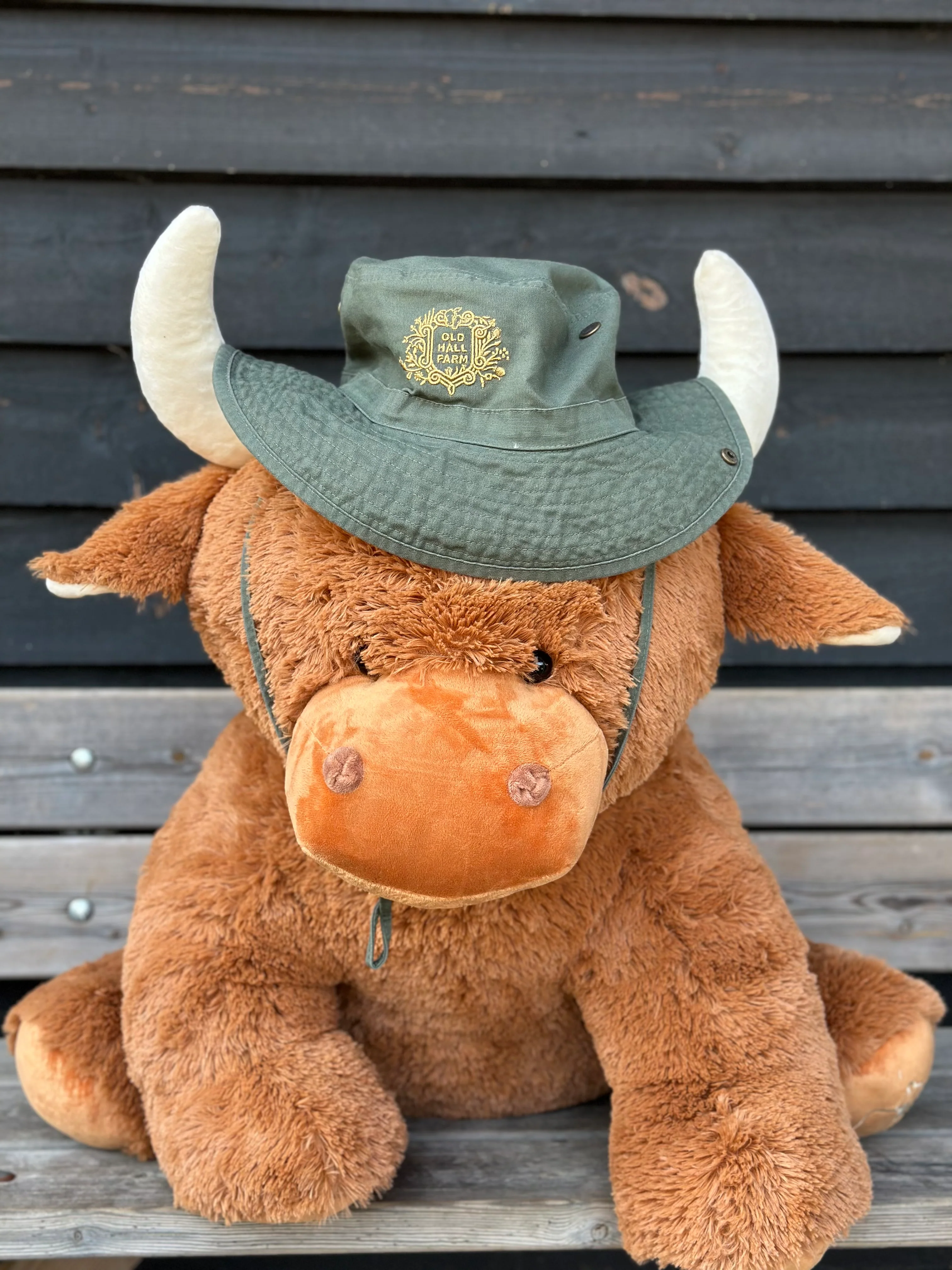Old Hall Farm Hat - Image 2
